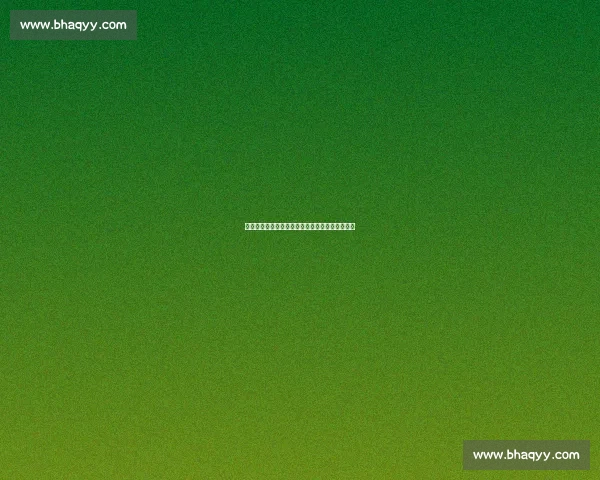 杨阳接棒深篮体育：开启中国篮球生态建设新篇章